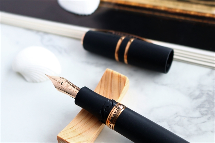 ビスコンティ　ホモサピエンスシリーズ　ニブ