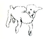 星の王子様　万年筆