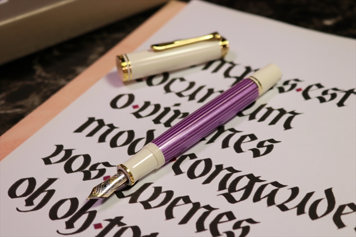 ペリカン 紫縞 M600 pilikan violet white 万年筆