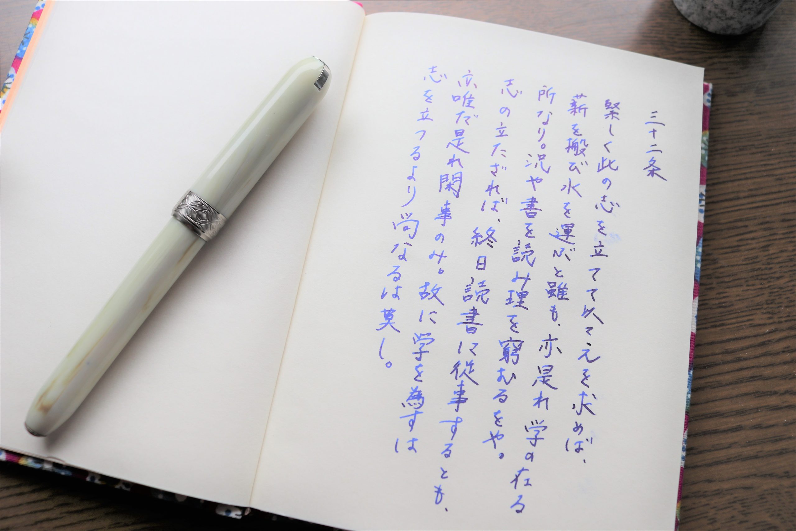 言志四録　万年筆